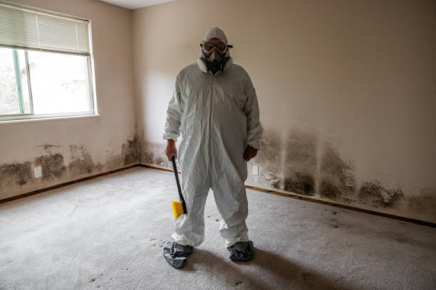 Best Industrial Mold Remediation in Clarksville, IN